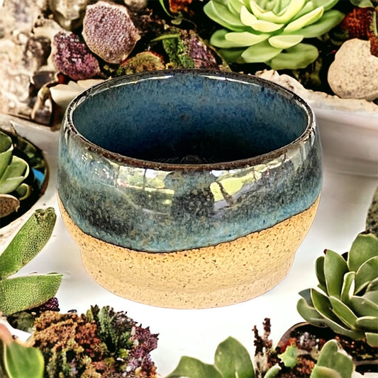 Blue Succulent Pot