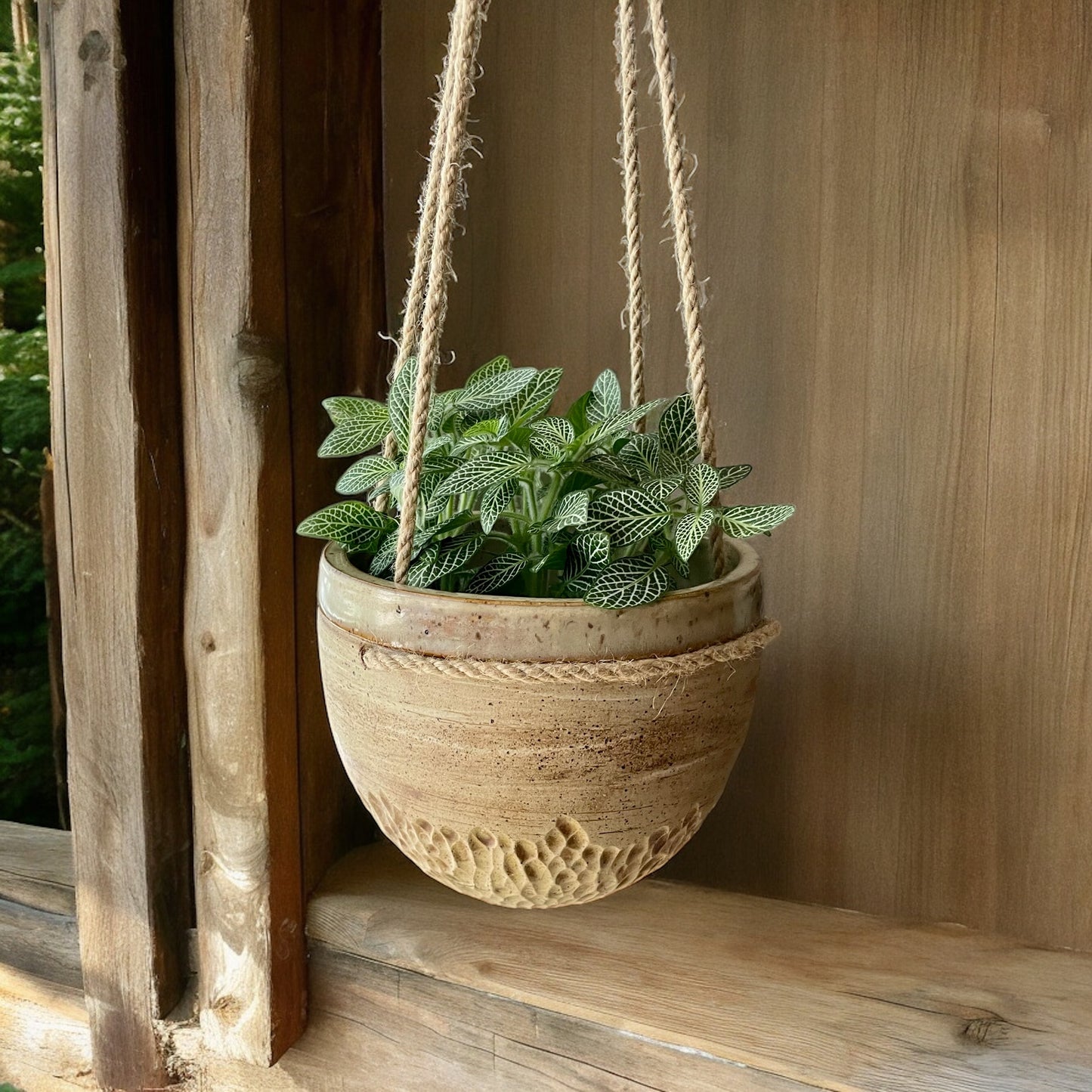 Small Hanging Planter