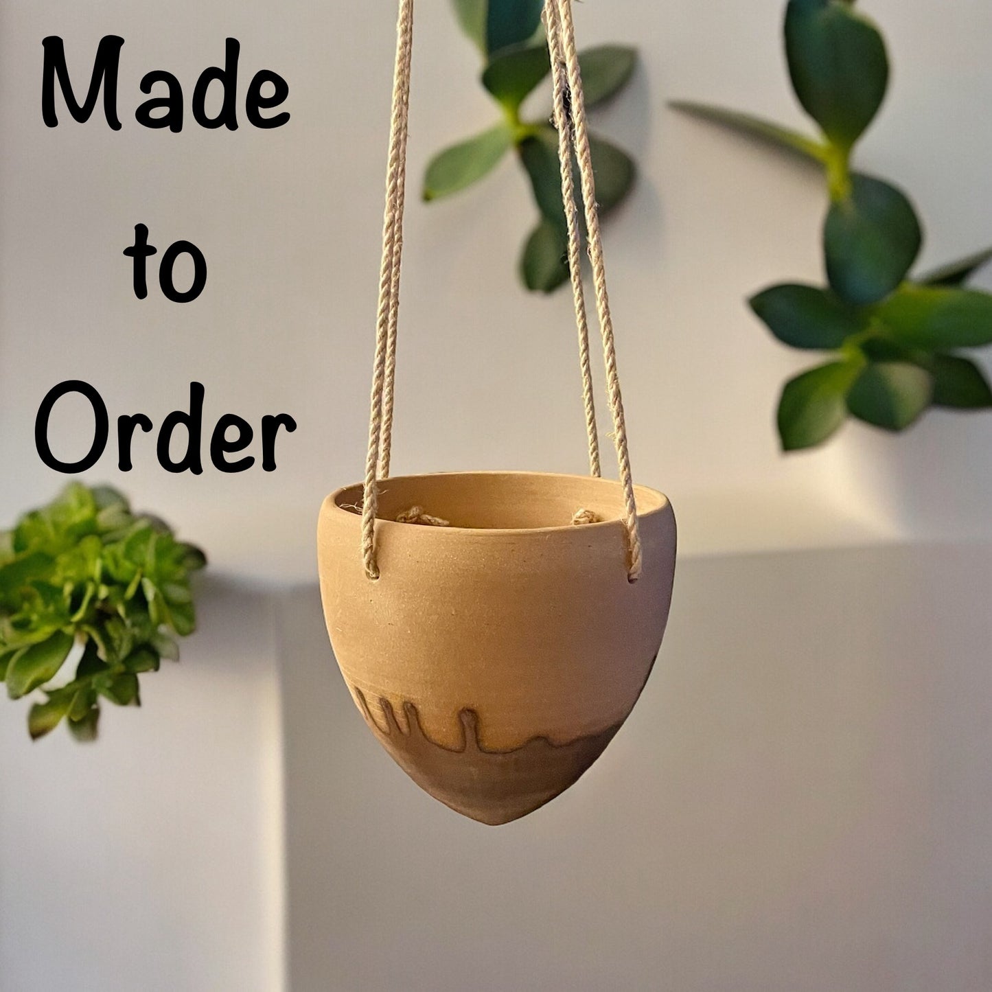 Medium Splash Hanging Planter