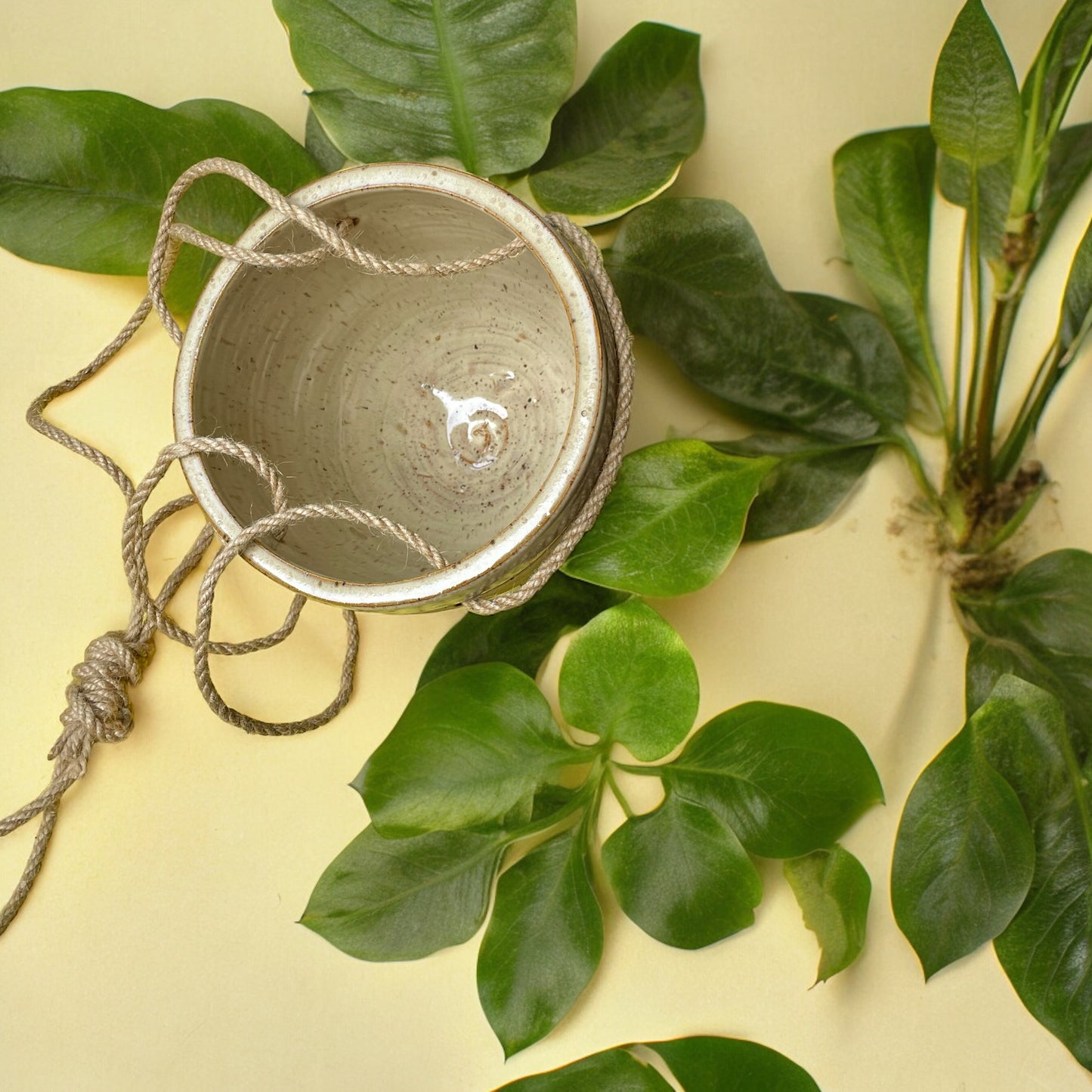 Small Hanging Planter