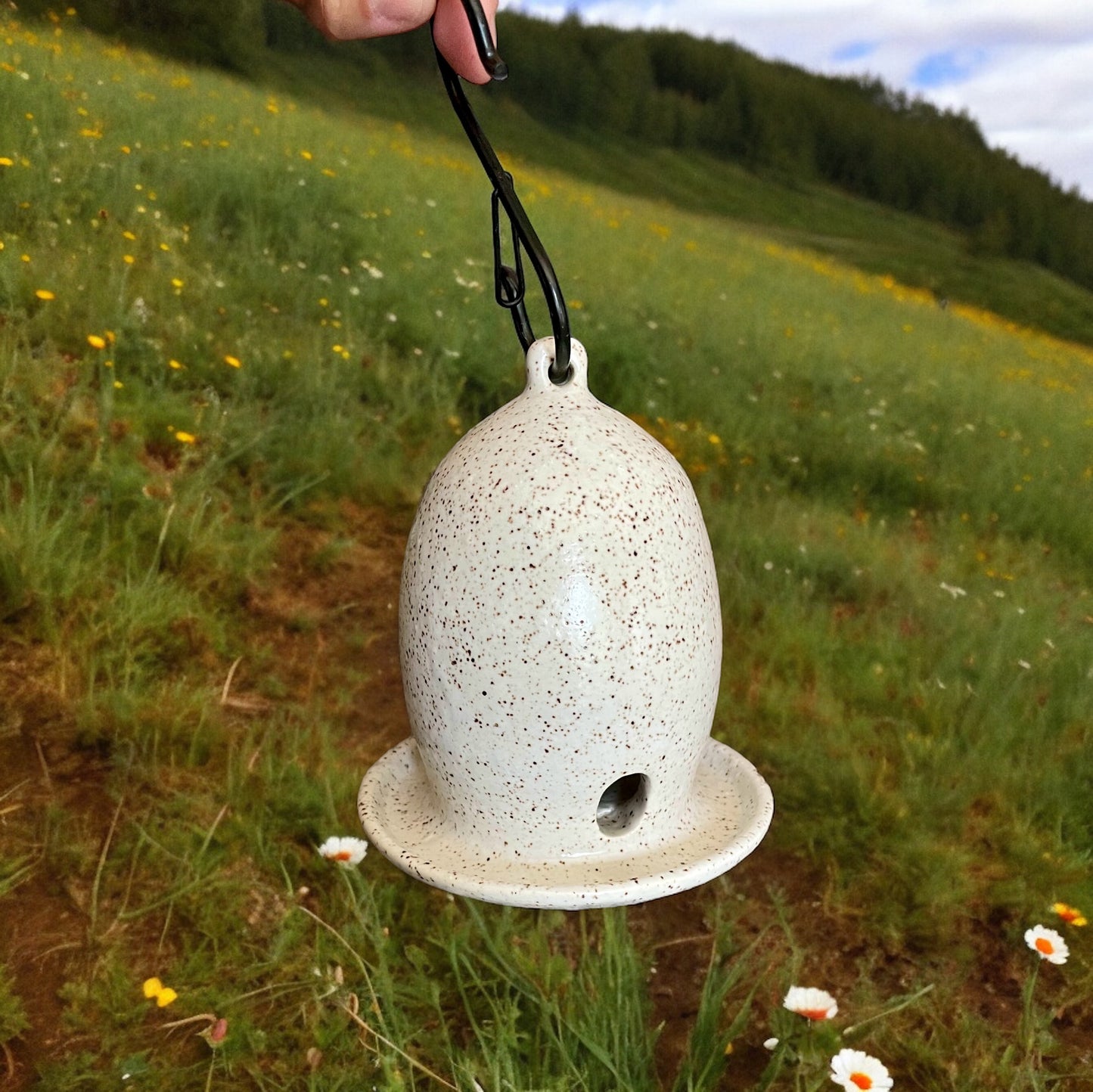 Small Bird Feeder