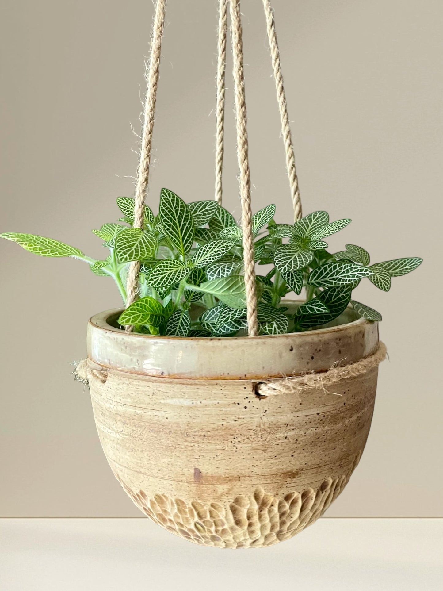 Small Hanging Planter