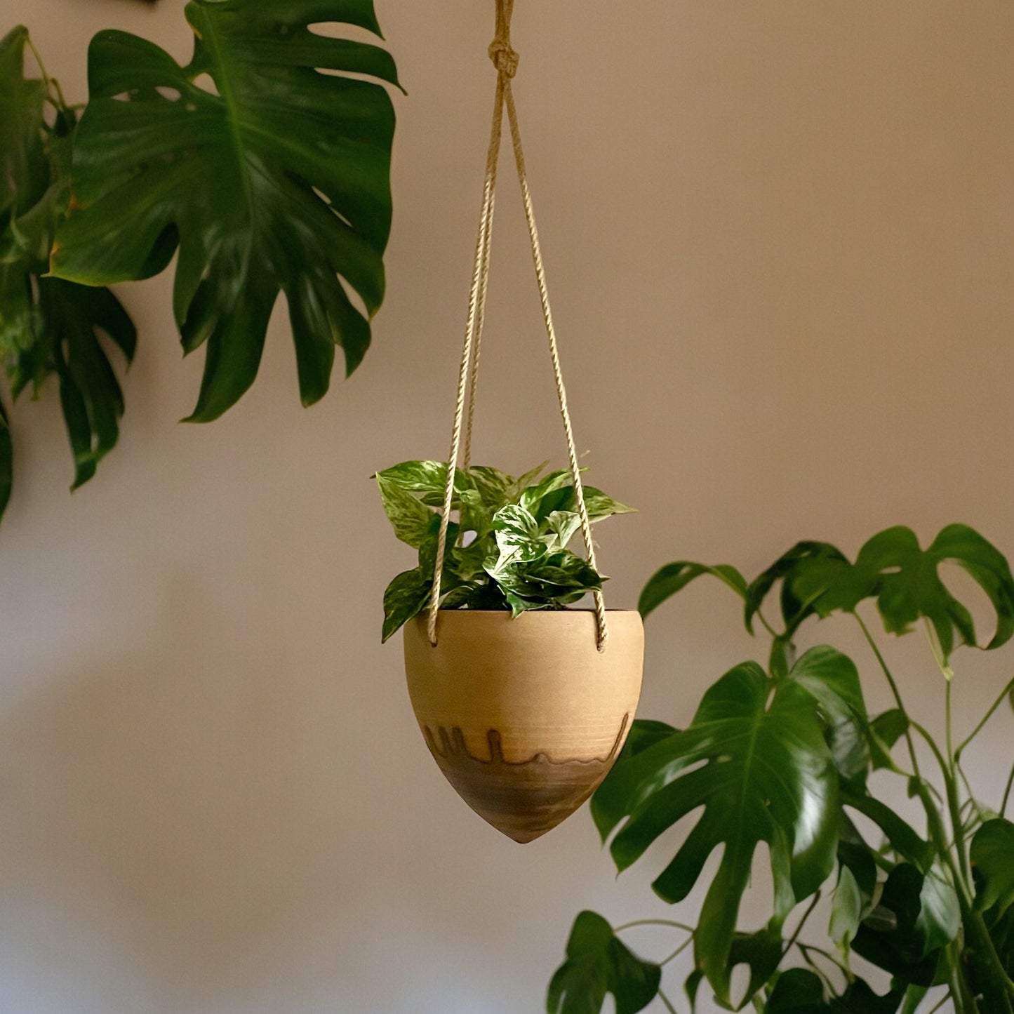 Medium Splash Hanging Planter