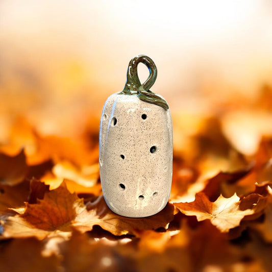 Cinderella Pumpkin Lantern